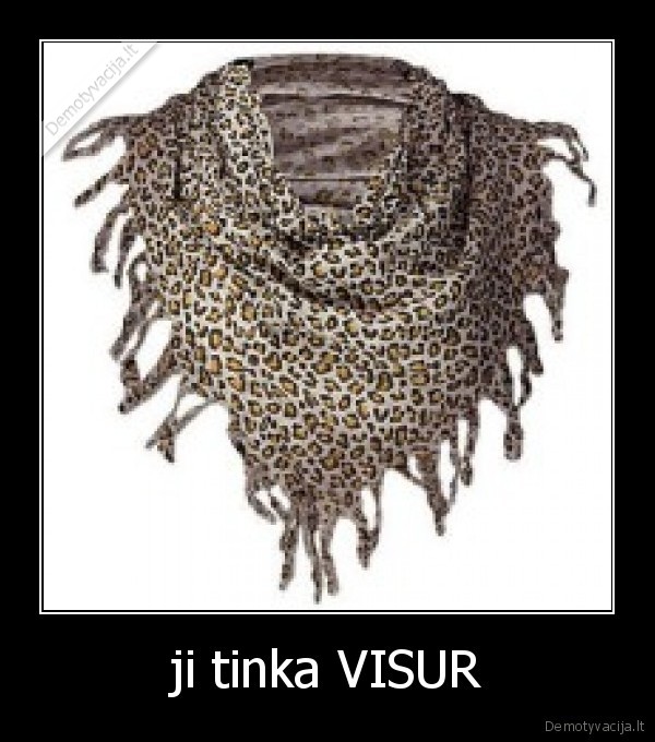 ji tinka VISUR