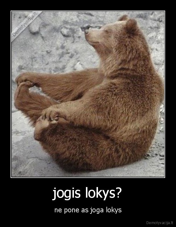 jogis lokys?