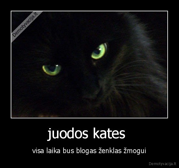 juodos kates 