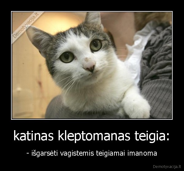 katinas kleptomanas teigia: