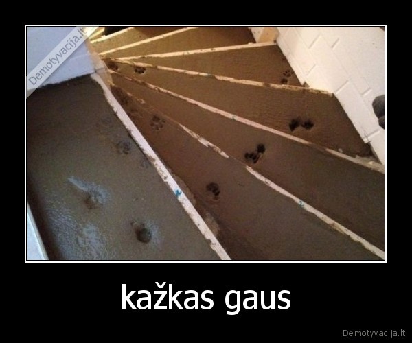 kažkas gaus