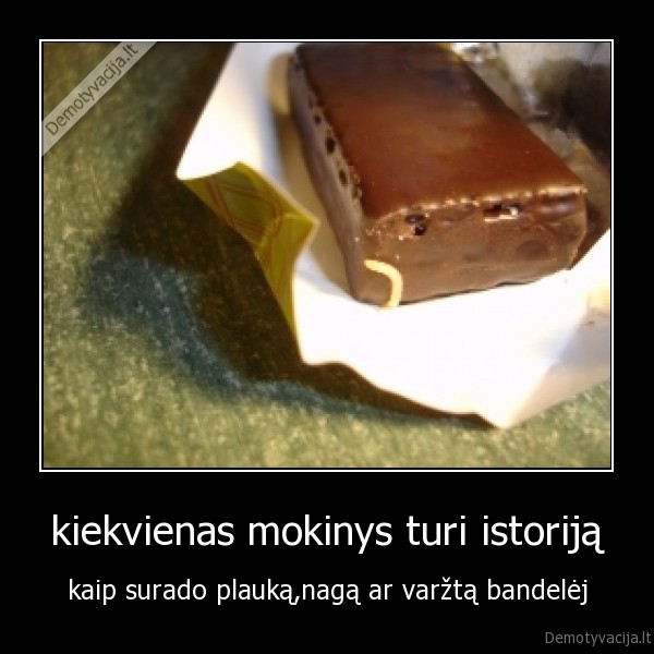 kiekvienas mokinys turi istoriją