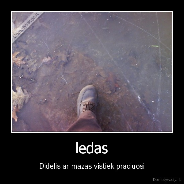 ledas