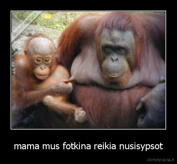 mama mus fotkina reikia nusisypsot