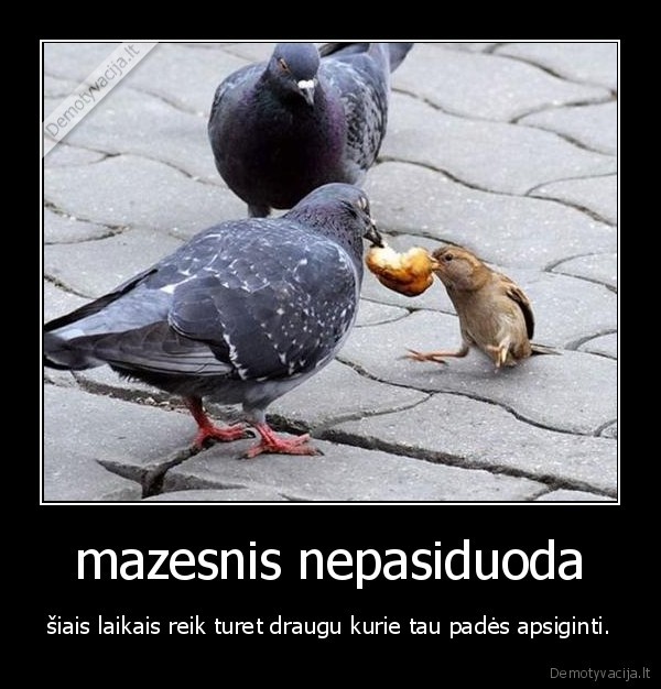 mazesnis nepasiduoda