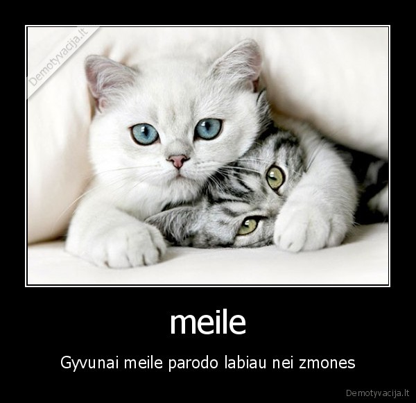 meile