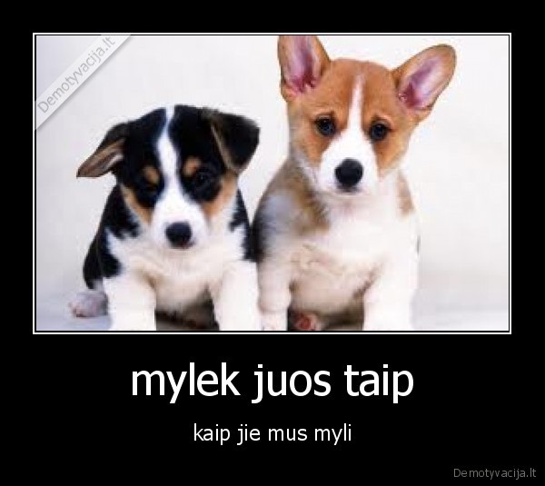 mylek juos taip