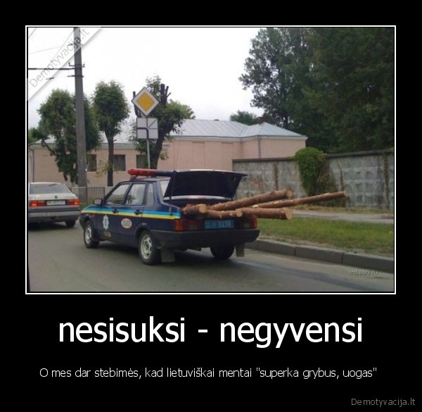 nesisuksi - negyvensi