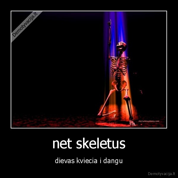 net skeletus