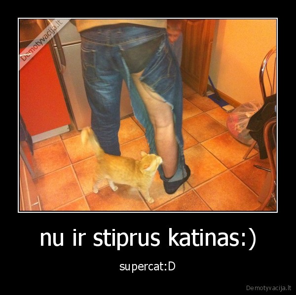 nu ir stiprus katinas:)