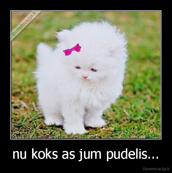 nu koks as jum pudelis...