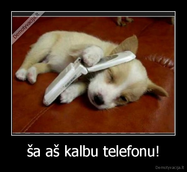 ša aš kalbu telefonu!