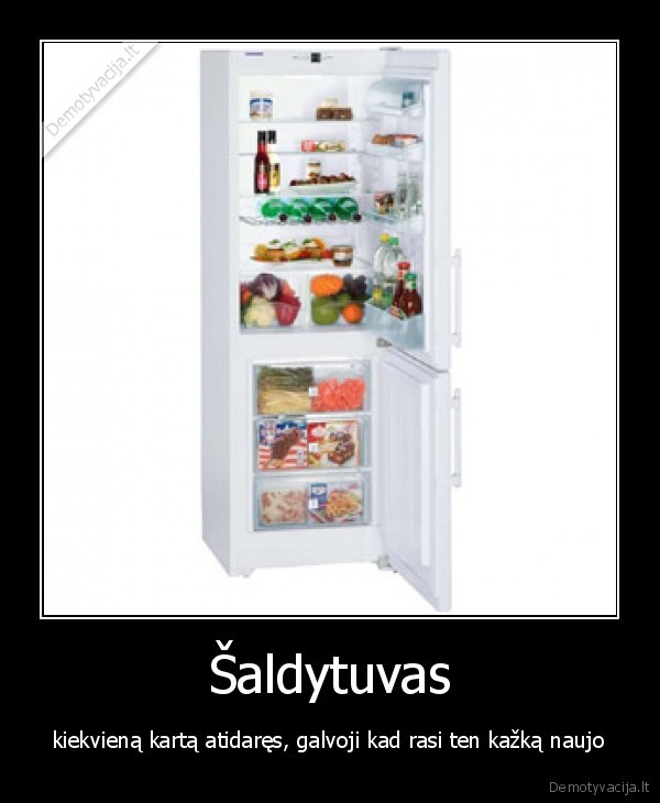 Šaldytuvas