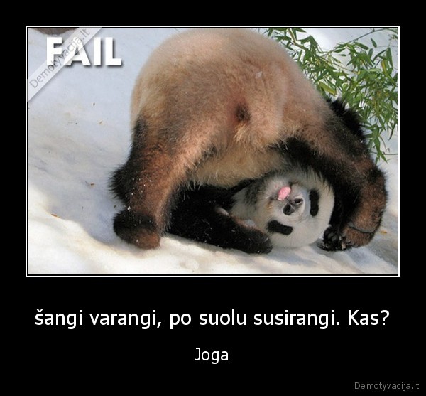 joga, panda, sangi, varangi, epic, fail