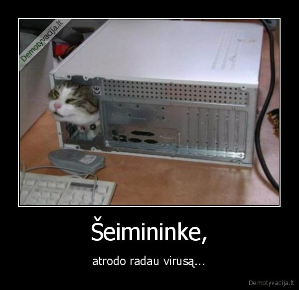 virusas, katina, pc