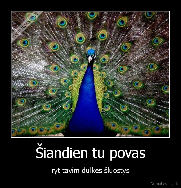 povas,dulkes