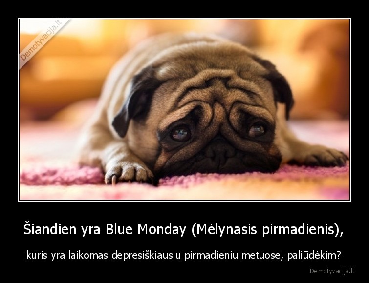 pirmadienis,blue, monday,depresija