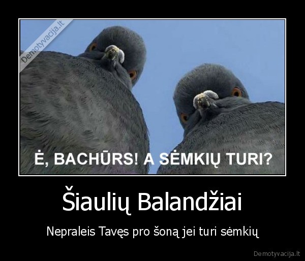 Šiaulių Balandžiai