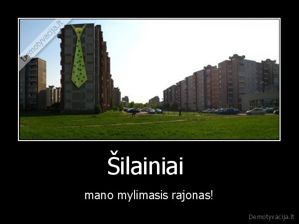 kaunas, silai