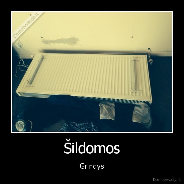 sildomos,grindys