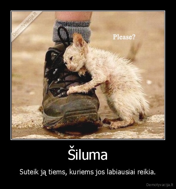 Šiluma