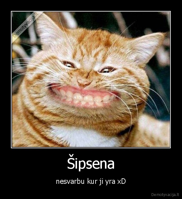 Šipsena