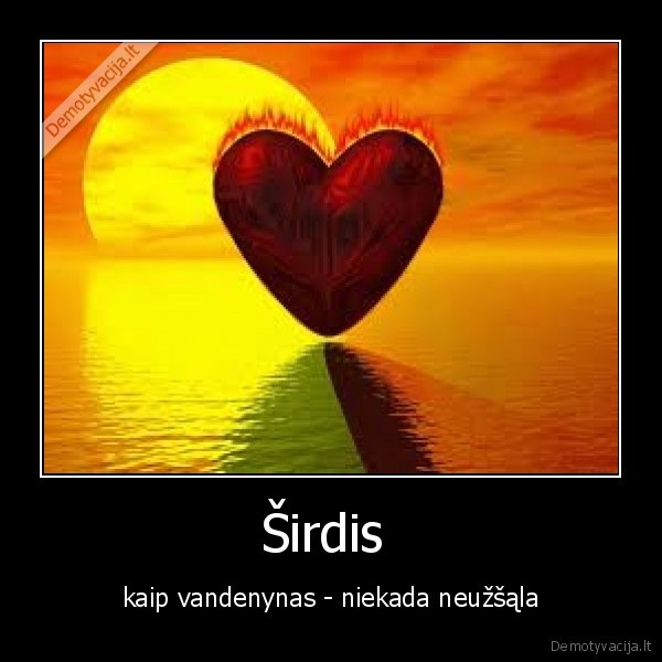 Širdis 