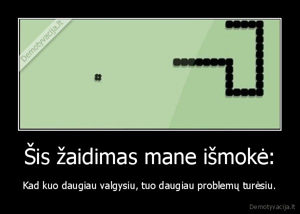 Šis žaidimas mane išmokė: