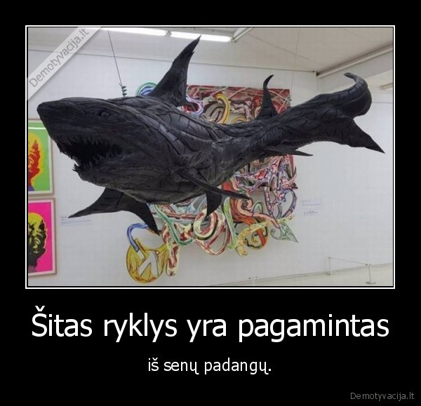 ryklys,padangos