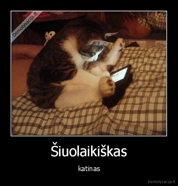 katinas,siuolaikiskas