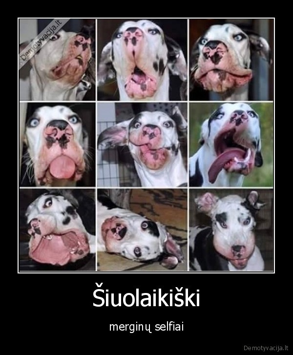 Šiuolaikiški