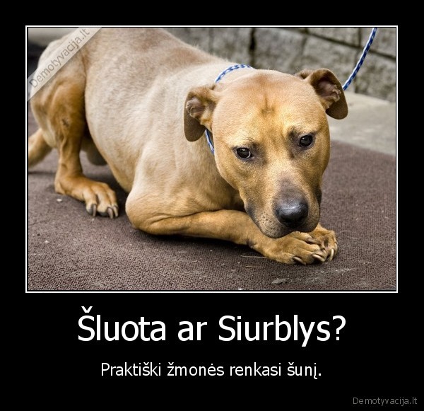 Šluota ar Siurblys?