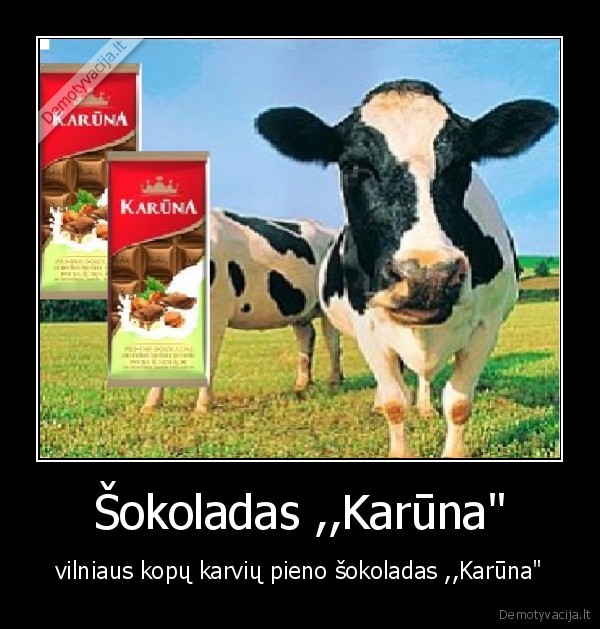 karves,vaikai,sokoladas