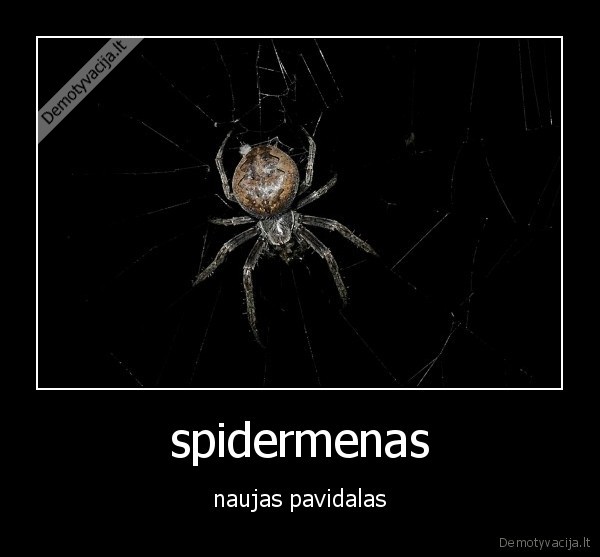 spidermenas