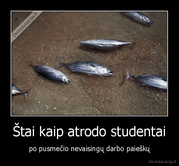 Štai kaip atrodo studentai