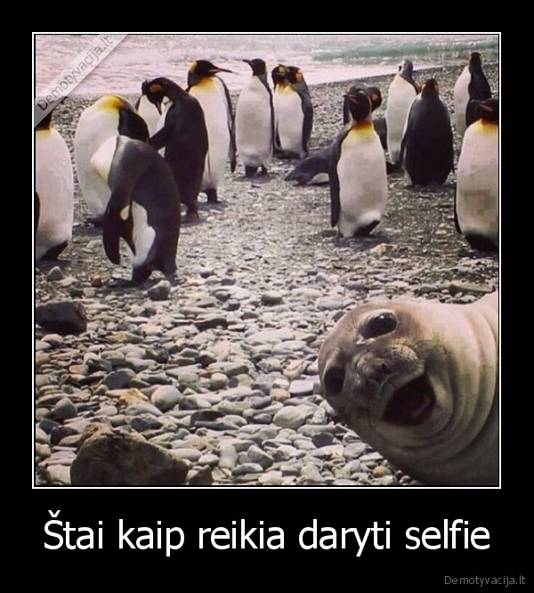 Štai kaip reikia daryti selfie