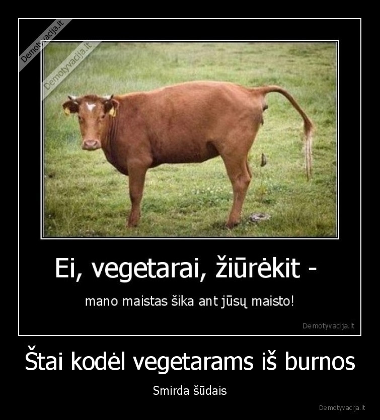 Štai kodėl vegetarams iš burnos