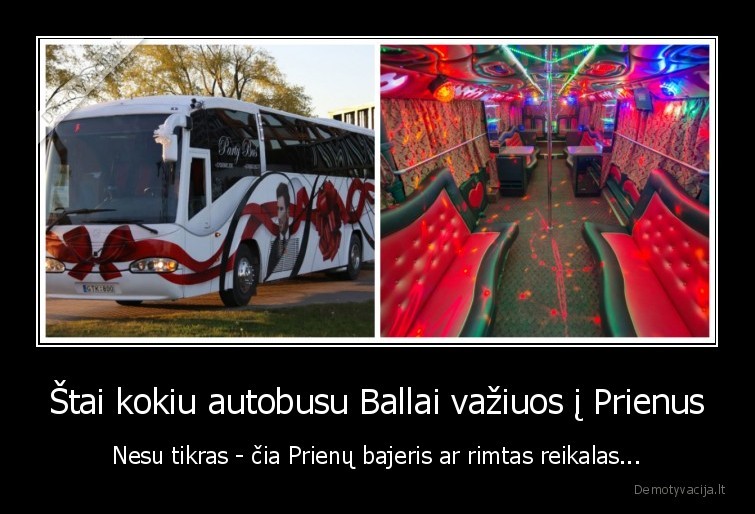 partybus