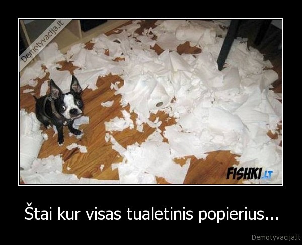 Štai kur visas tualetinis popierius...