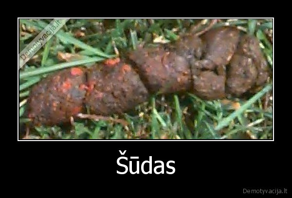 Šūdas