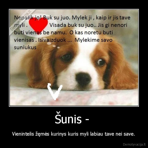 sunys