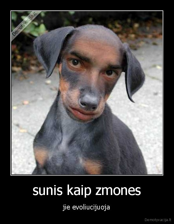 sunis kaip zmones