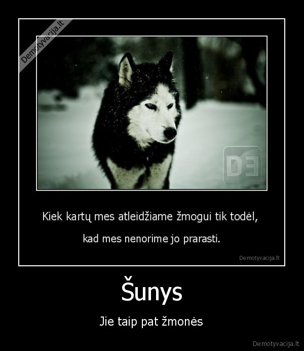 Šunys