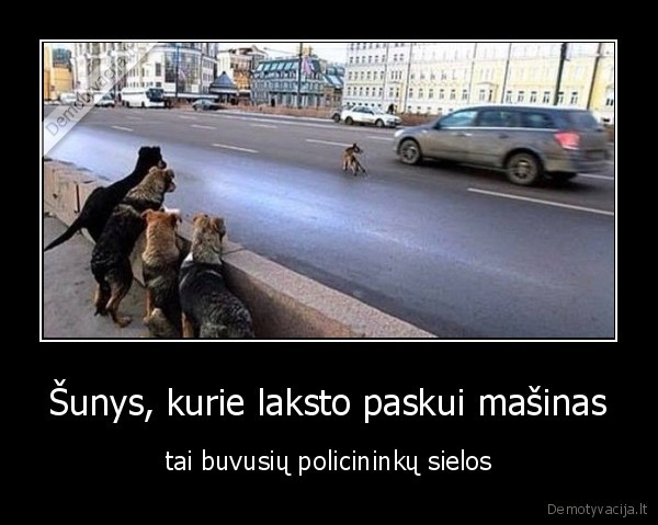 sunys,policininkai