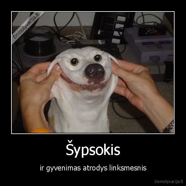 Šypsokis