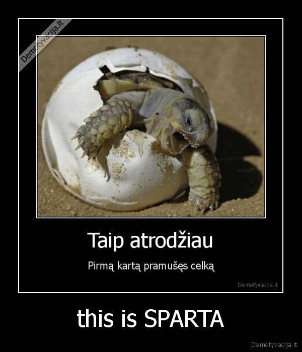 this is SPARTA