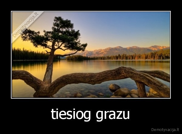 tiesiog grazu