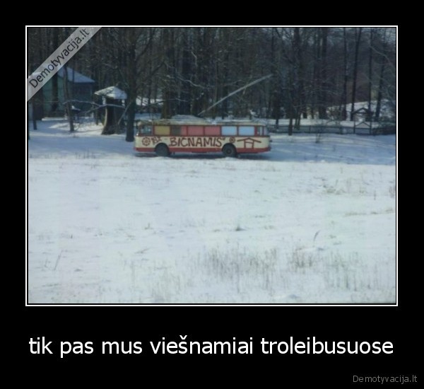 tik pas mus viešnamiai troleibusuose