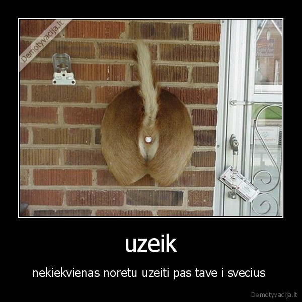 uzeik