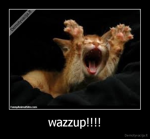 wazzup!!!!